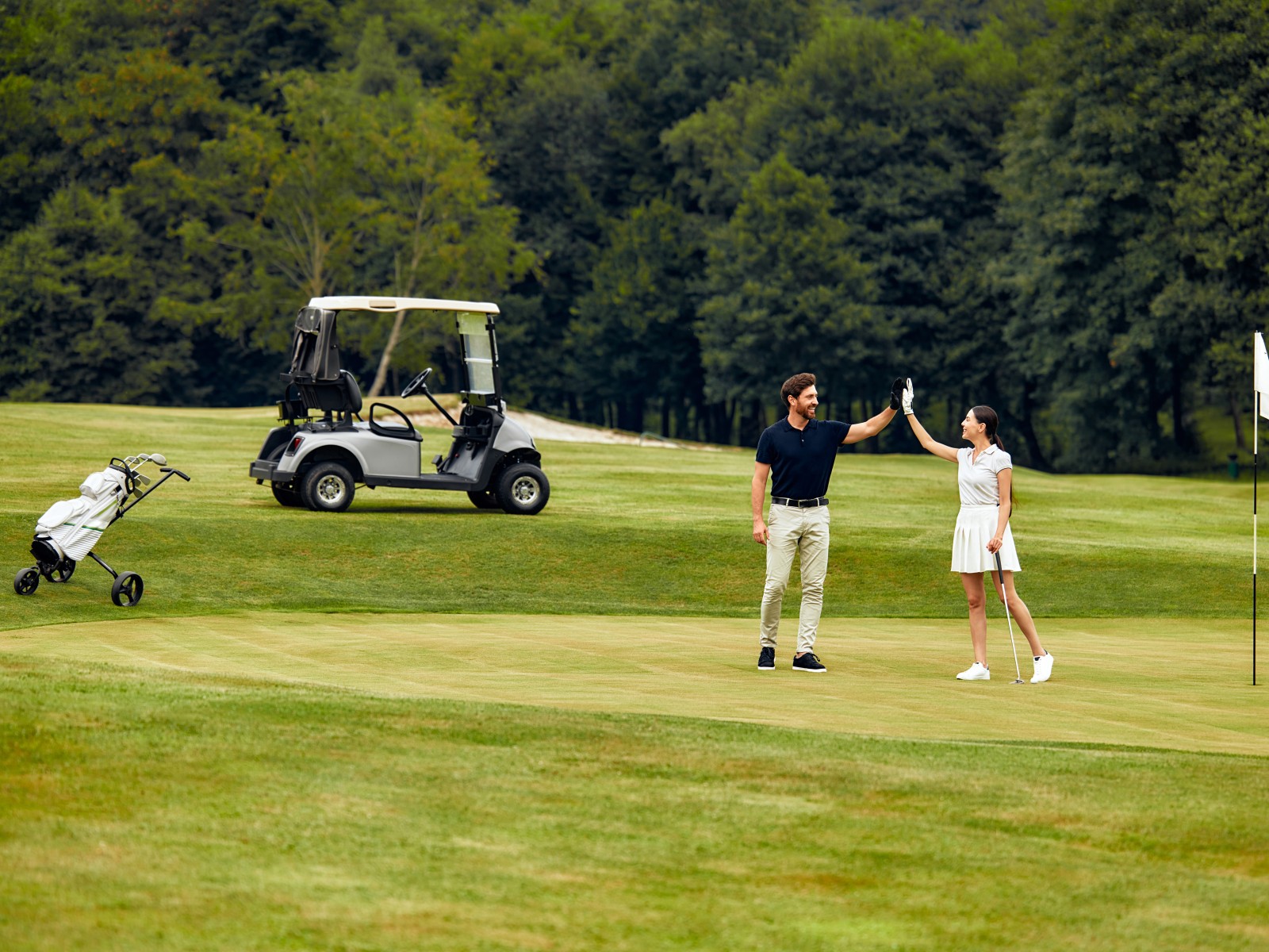 TPC Championship Landscapes