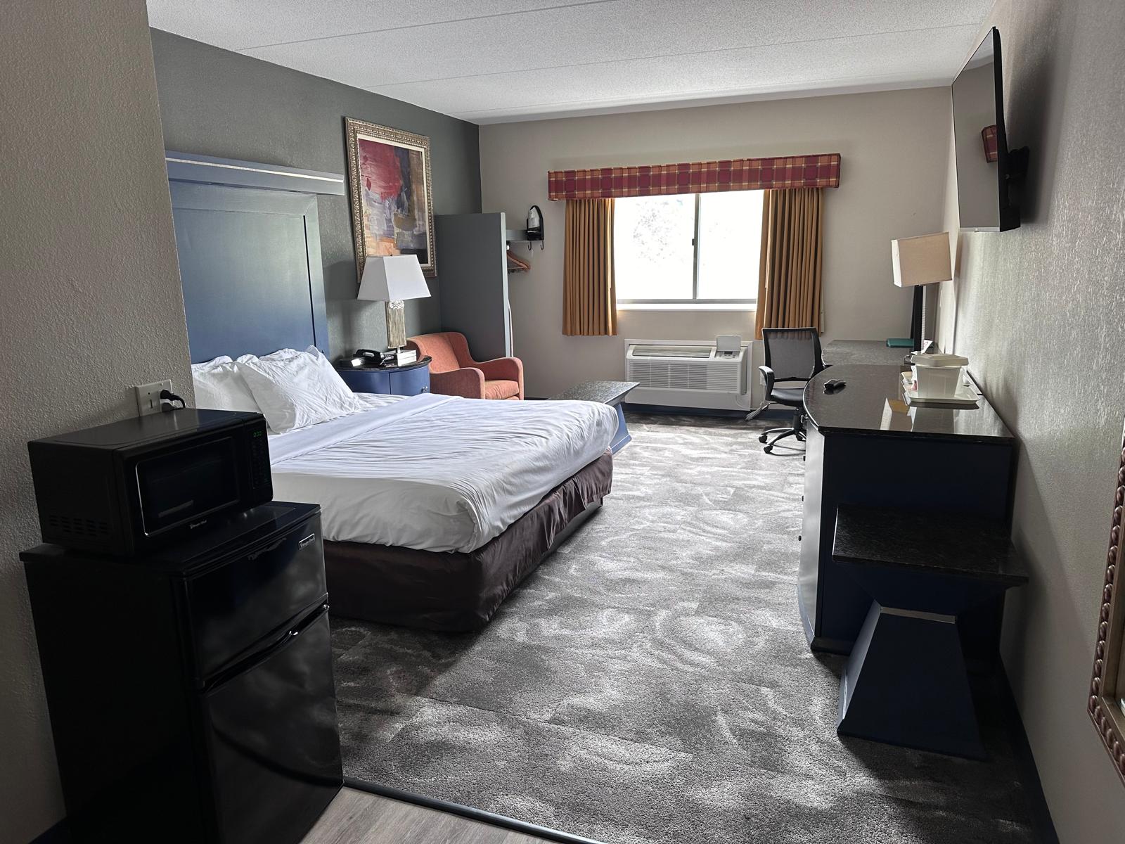 1 King Bed Guest Room